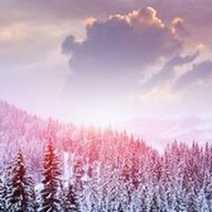 Meet your Posher, Gemma